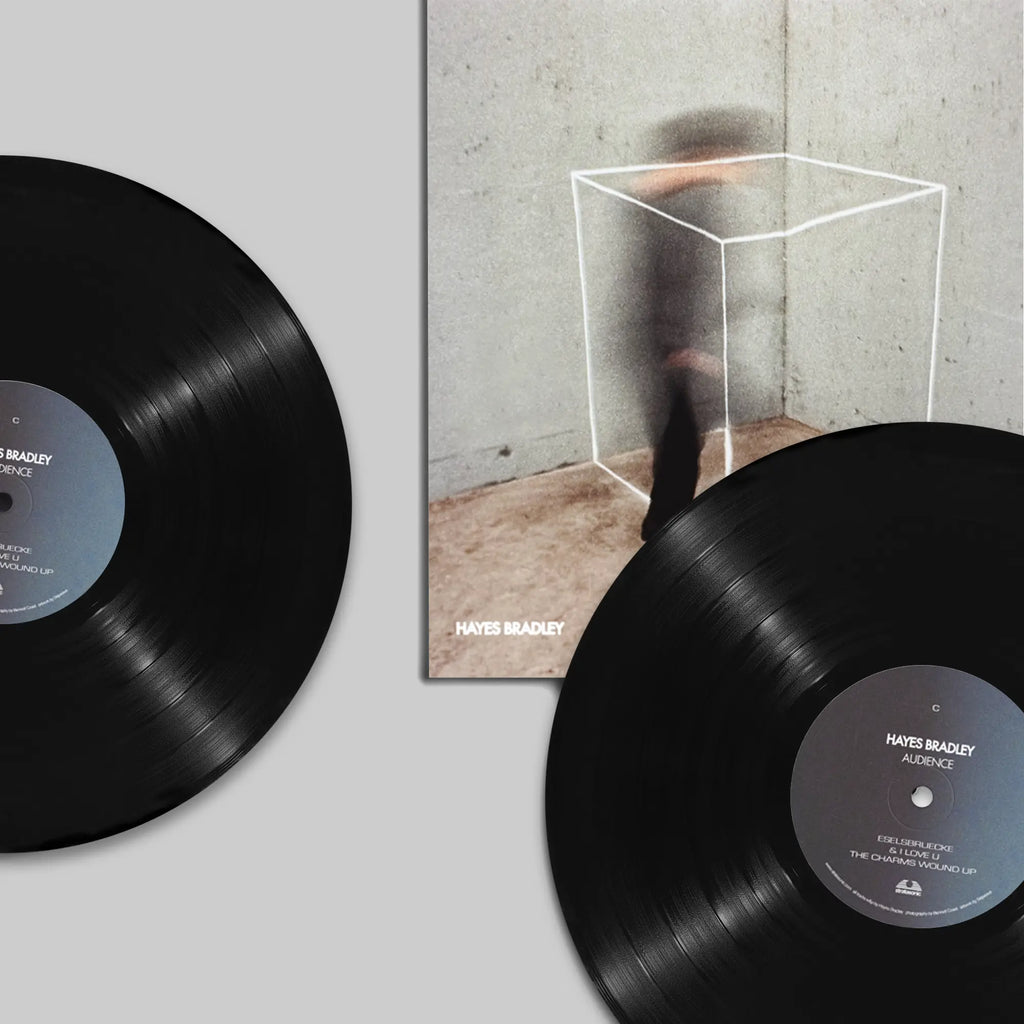 Audience by Hayes Bradley - LP