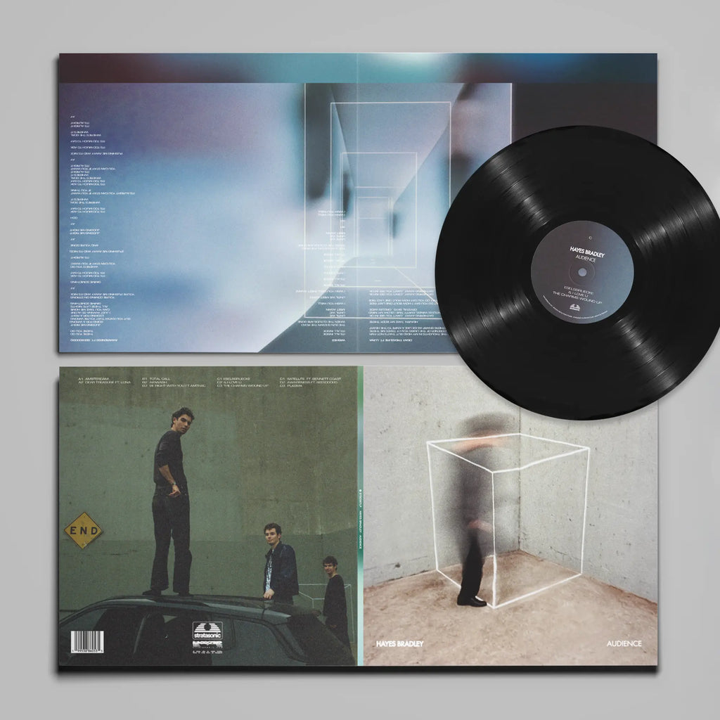 Audience by Hayes Bradley - LP
