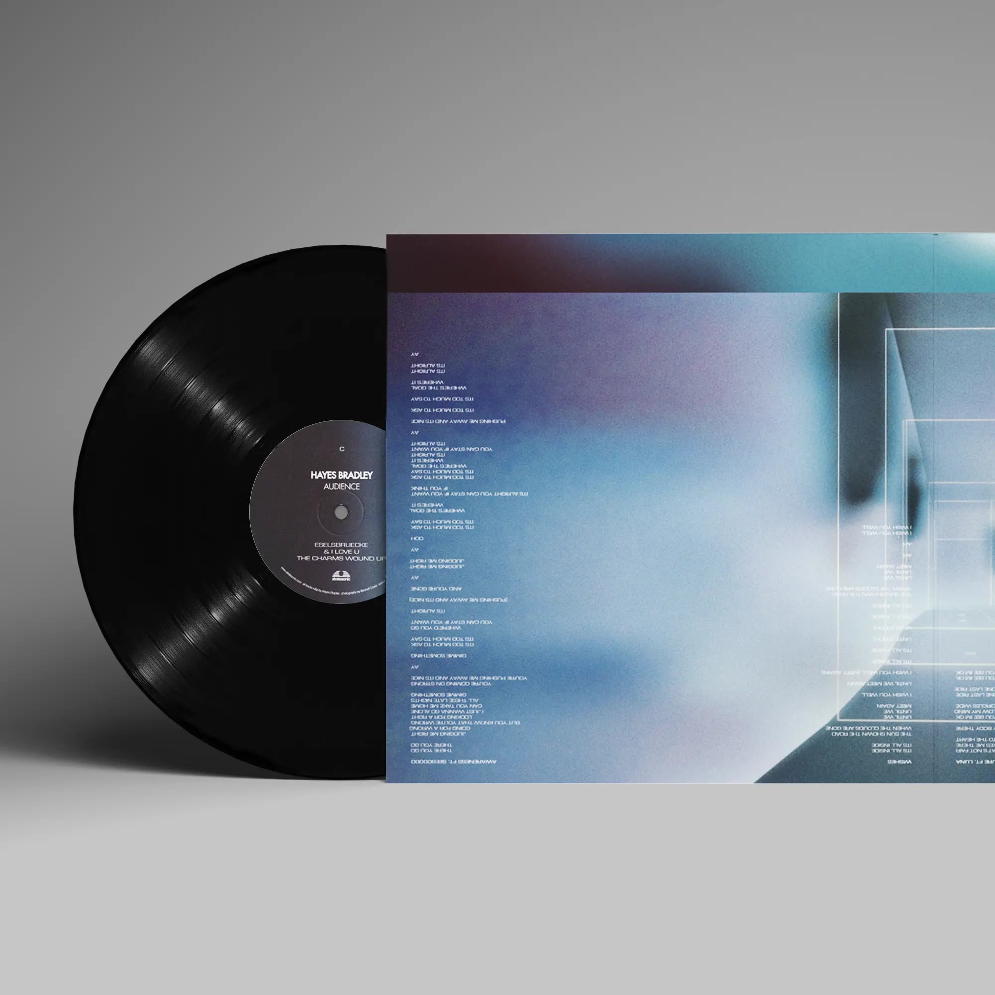 Audience by Hayes Bradley - LP