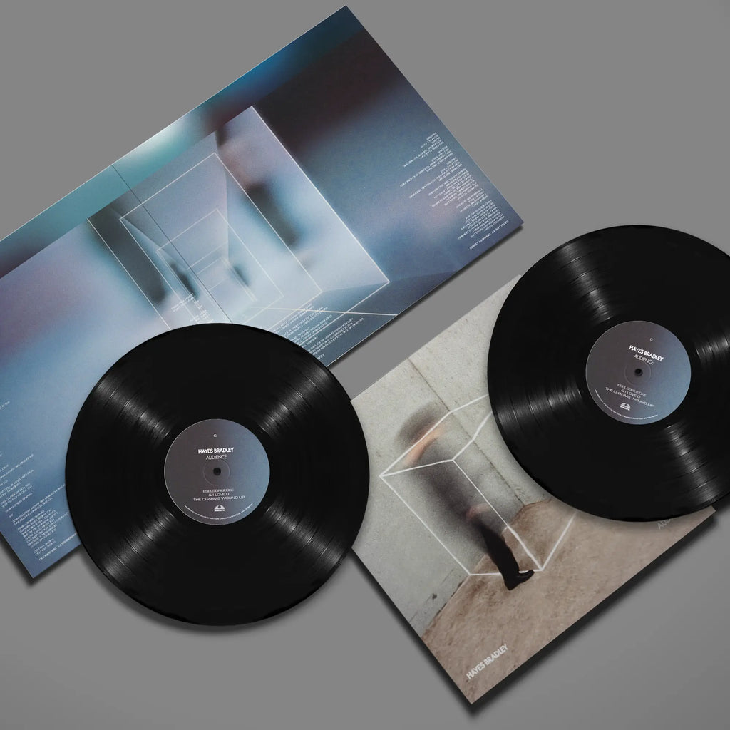 Audience by Hayes Bradley - LP