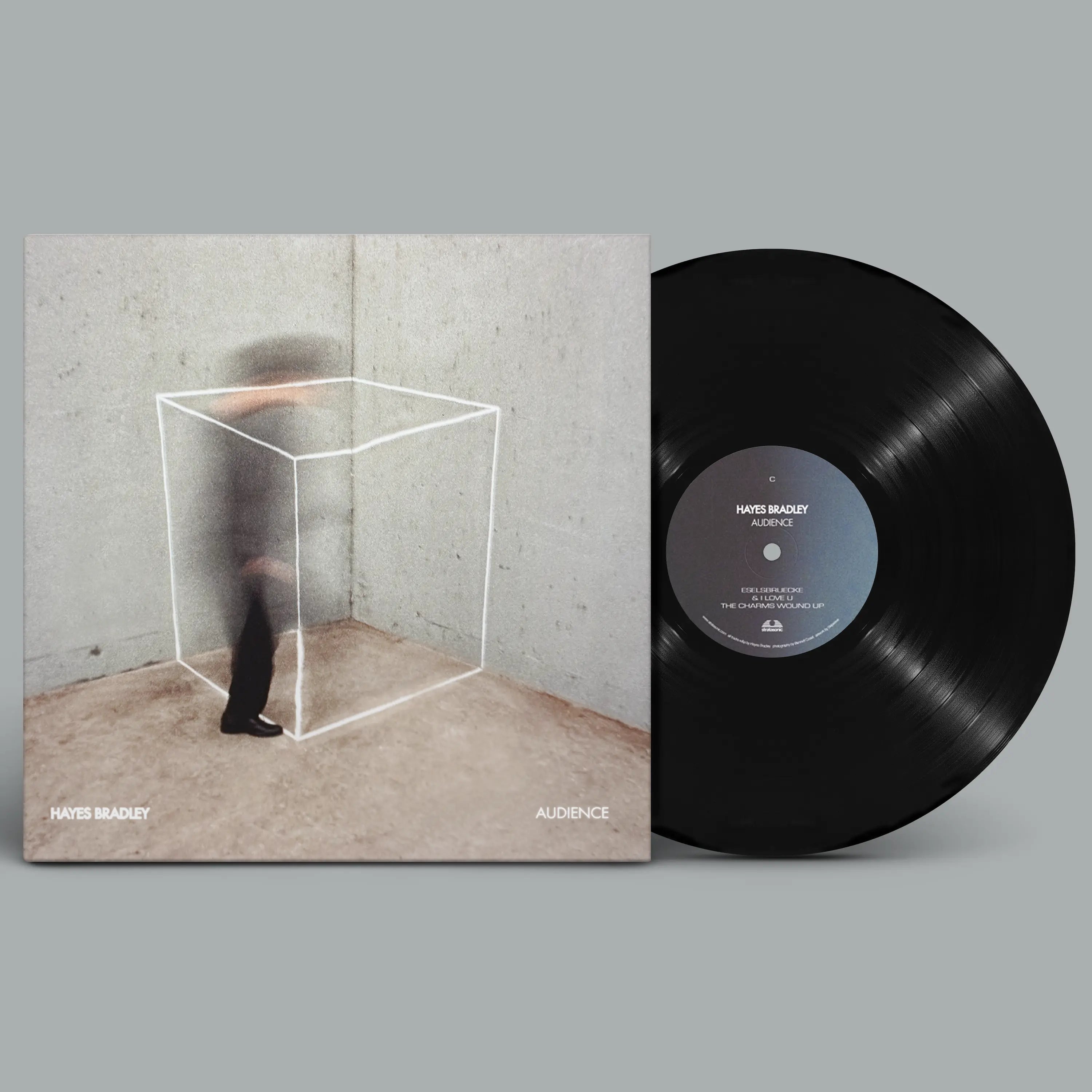 Audience by Hayes Bradley - LP