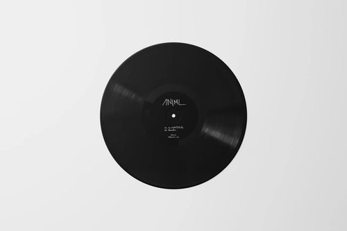Accidental Effects by ANiML - EP
