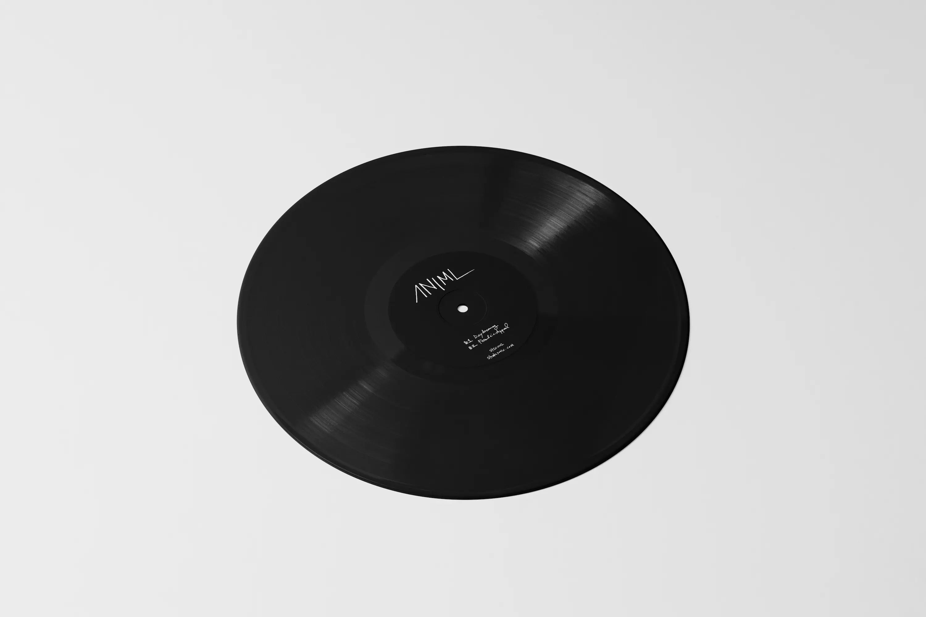 Accidental Effects by ANiML - EP