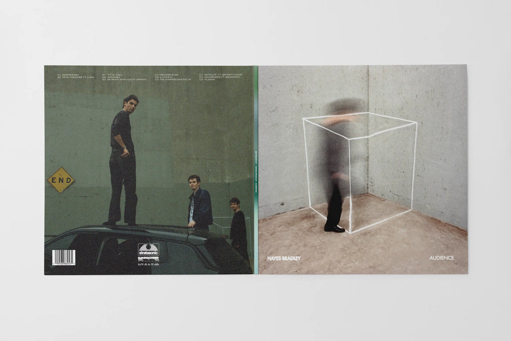 Audience by Hayes Bradley - LP