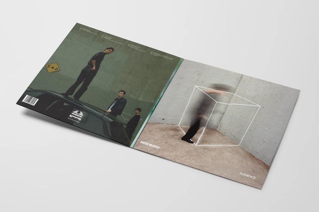Audience by Hayes Bradley - LP
