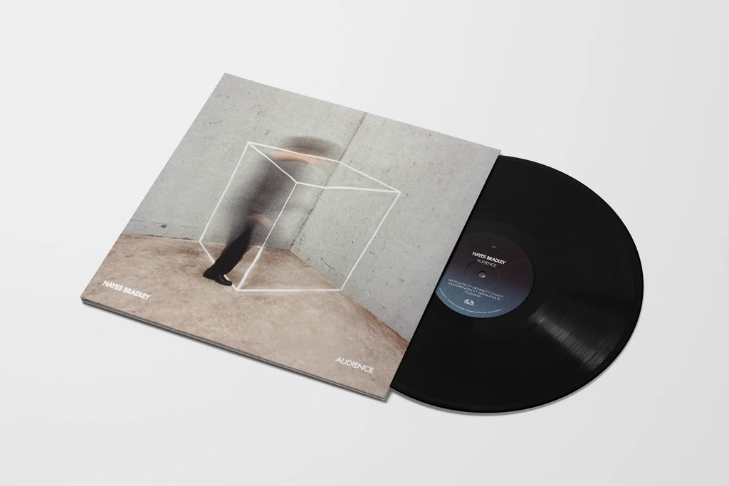Audience by Hayes Bradley - LP