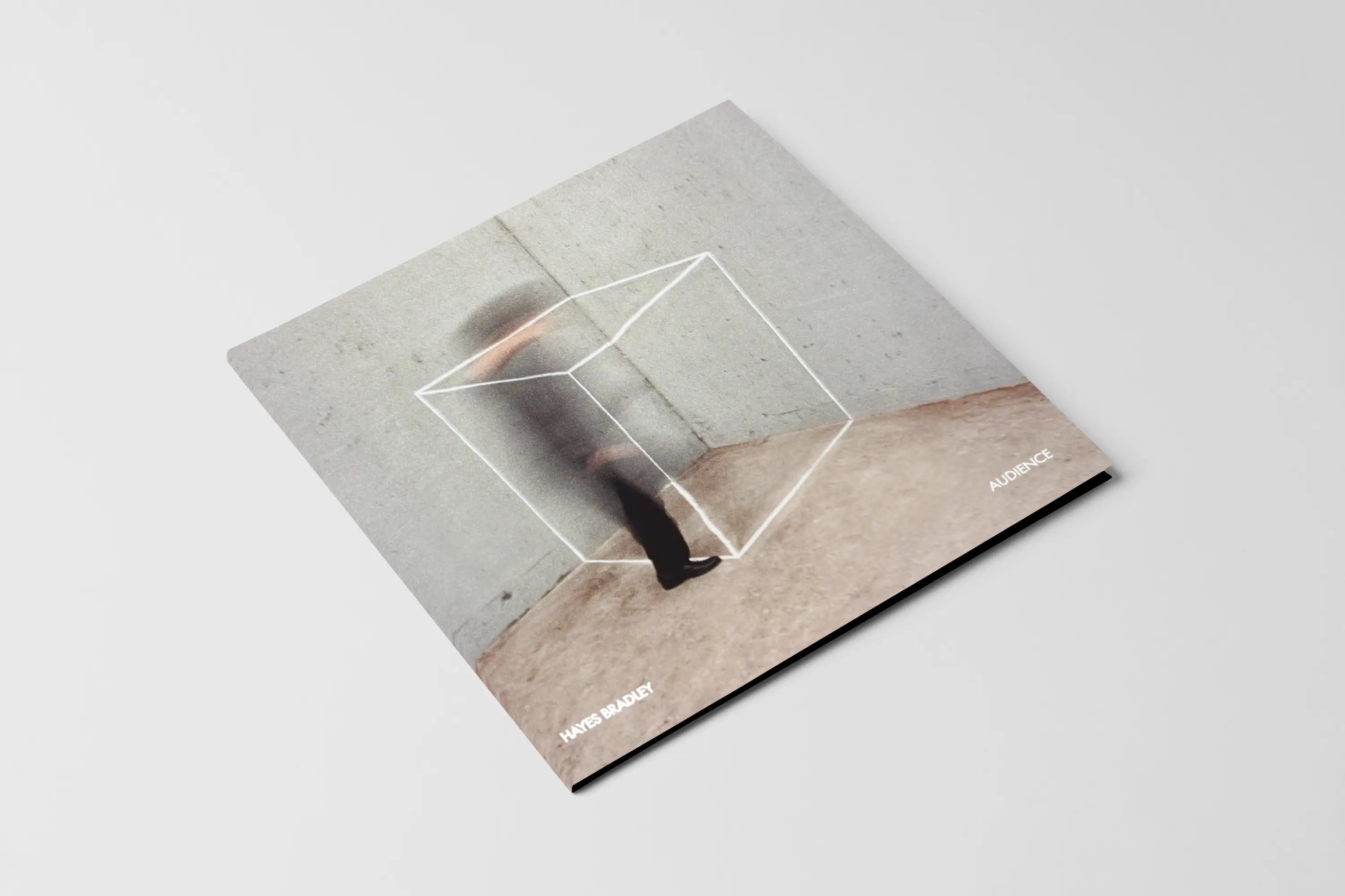 Audience by Hayes Bradley - LP