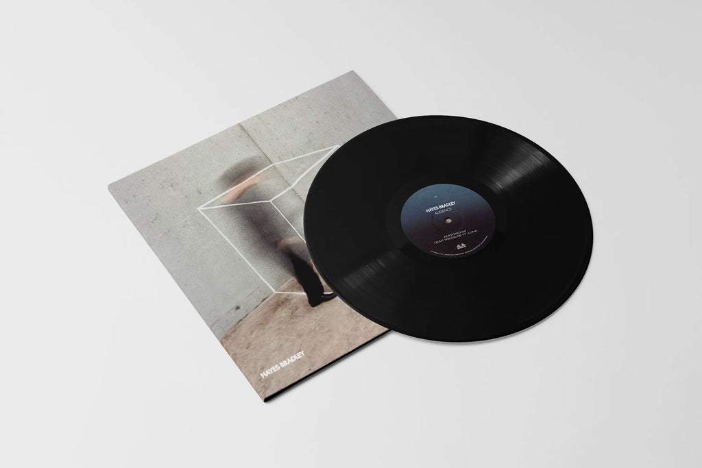 Audience by Hayes Bradley - LP