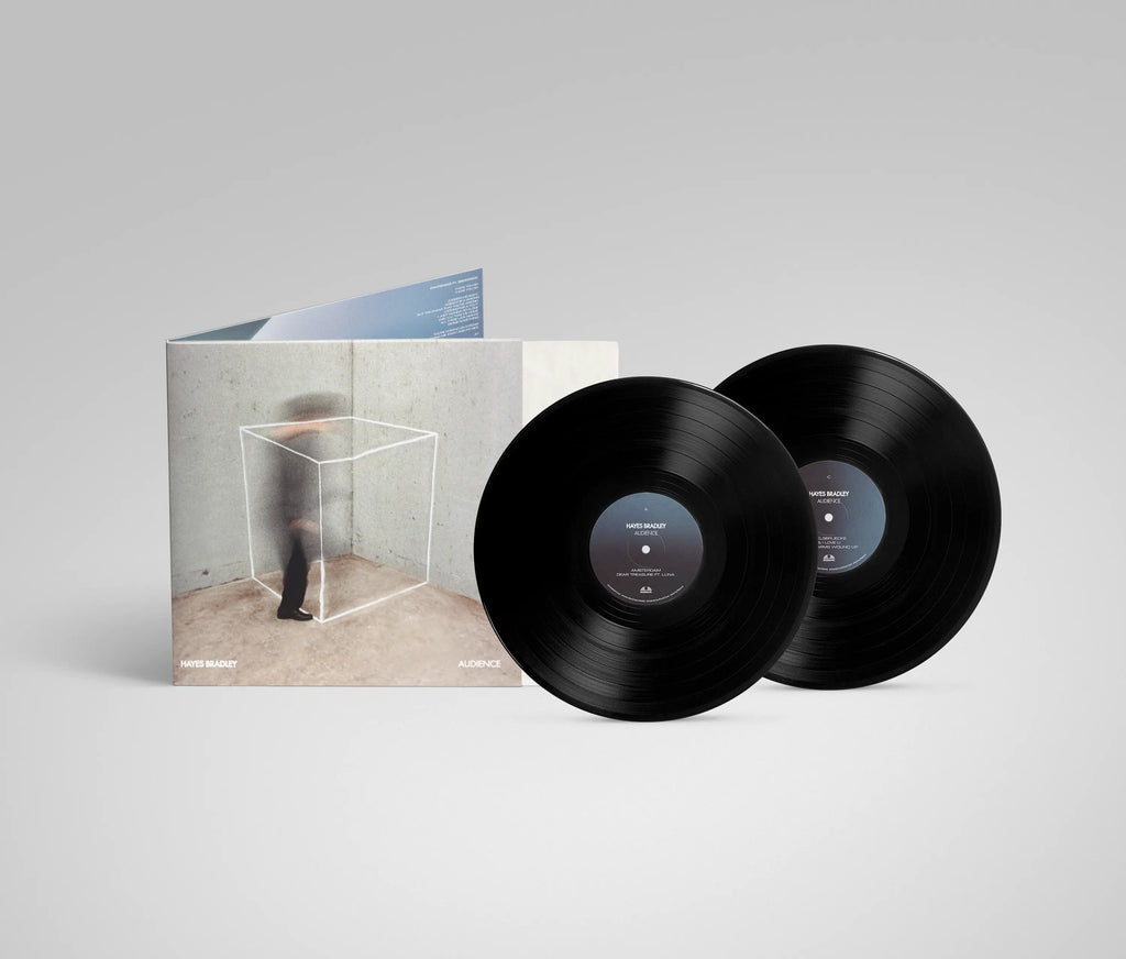 Audience by Hayes Bradley - LP