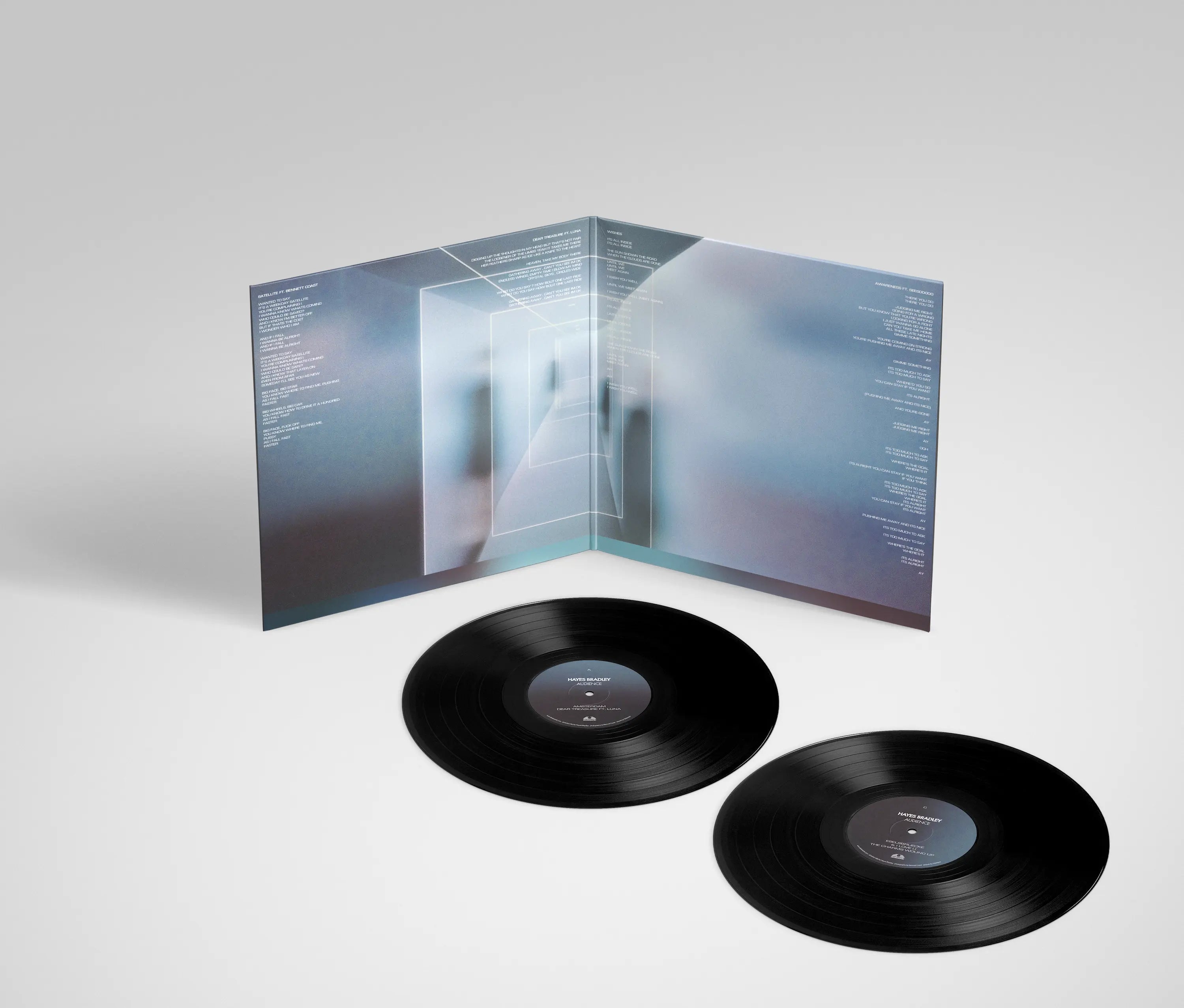 Audience by Hayes Bradley - LP