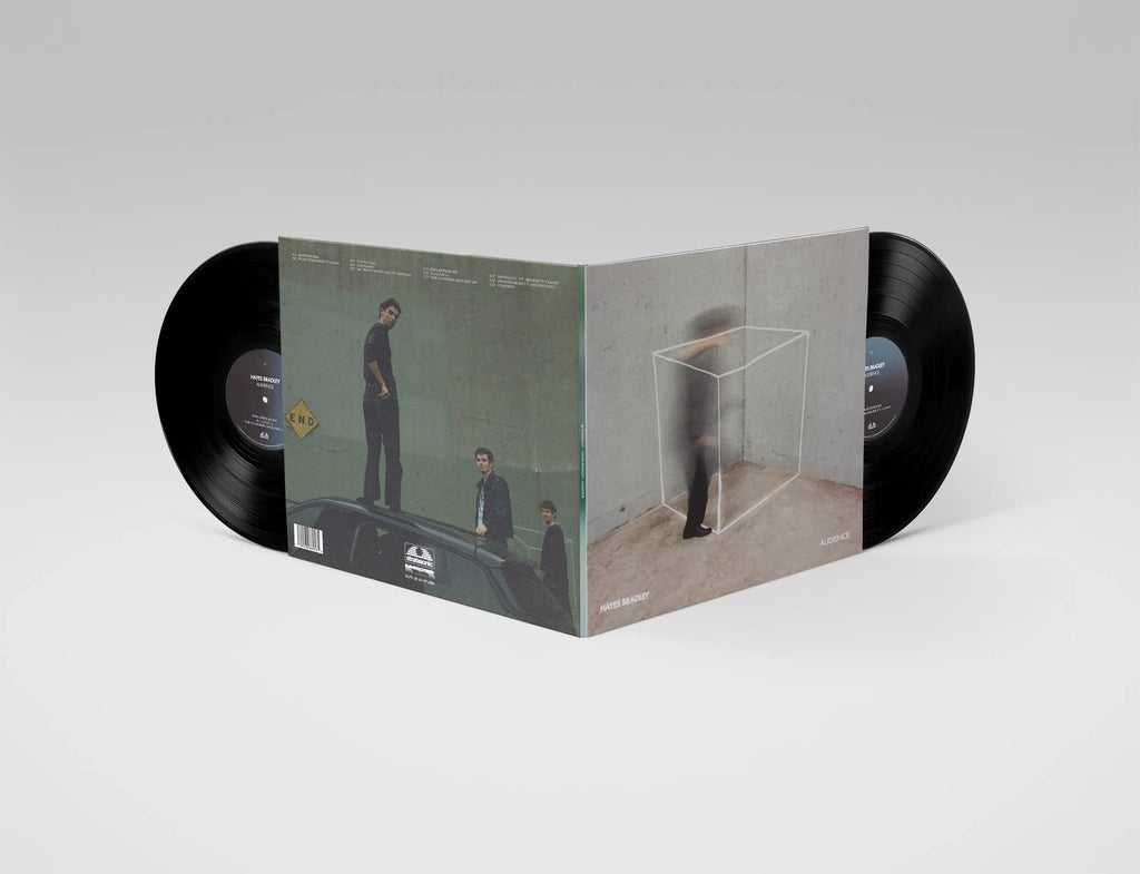 Audience by Hayes Bradley - LP